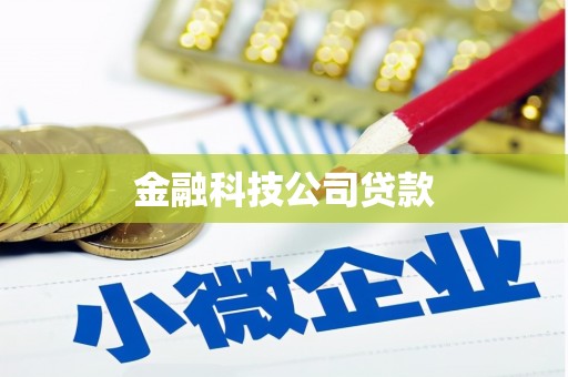 厚街金融科技公司贷款