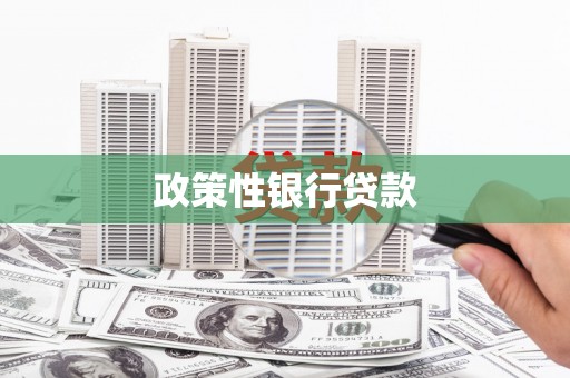 厚街政策性银行贷款