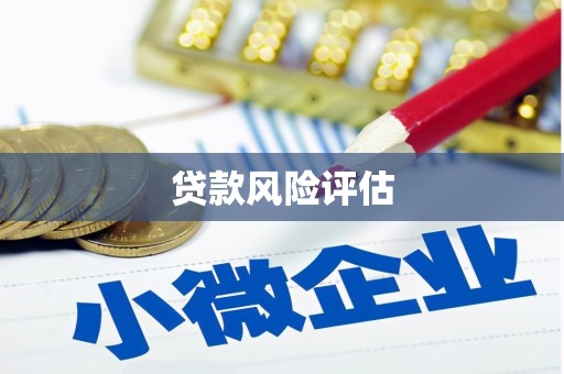 厚街贷款风险评估