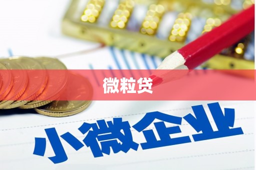 厚街微粒贷