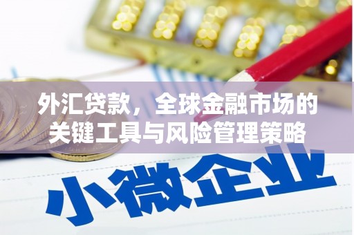 厚街外汇贷款，全球金融市场的关键工具与风险管理策略