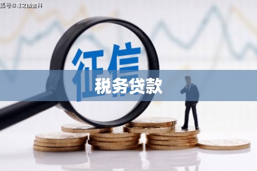 厚街税务贷款