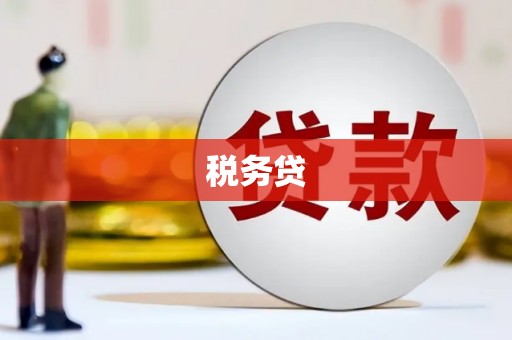 厚街税务贷