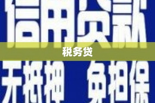 厚街税务贷