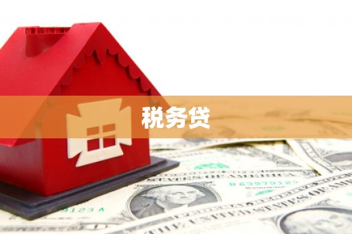厚街税务贷