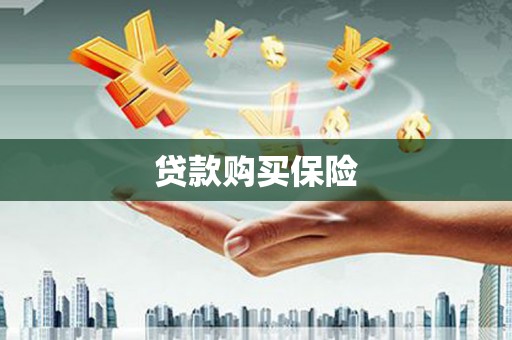厚街贷款购买保险
