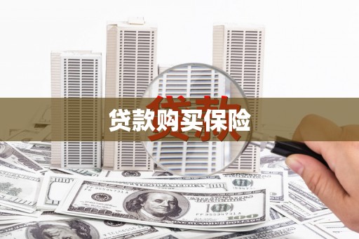 厚街贷款购买保险