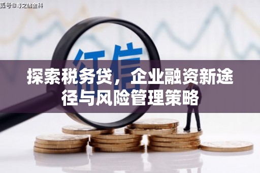 厚街探索税务贷，企业融资新途径与风险管理策略