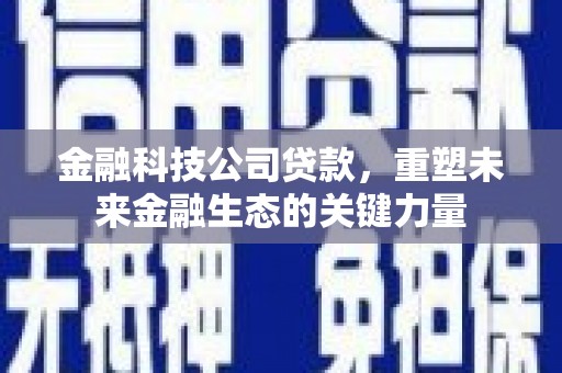 厚街金融科技公司贷款，重塑未来金融生态的关键力量