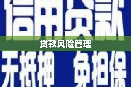 厚街贷款风险管理