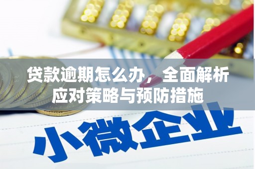 厚街贷款逾期怎么办，全面解析应对策略与预防措施