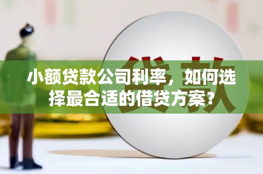 厚街小额贷款公司利率，如何选择最合适的借贷方案？