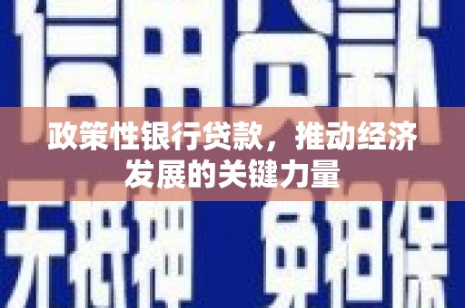厚街政策性银行贷款，推动经济发展的关键力量