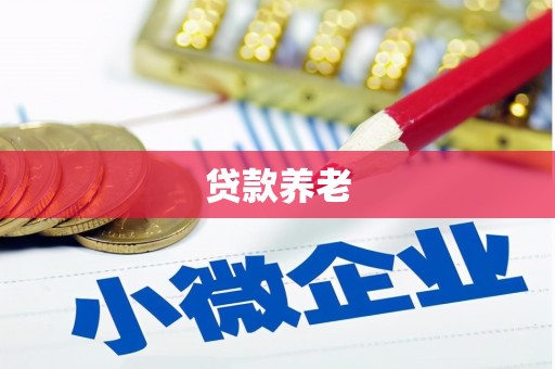 厚街贷款养老